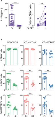 Adenosine pathway regulates inflammation during Plasmodium vivax infection